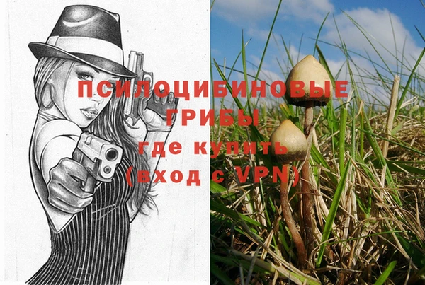 спайс Михайловка