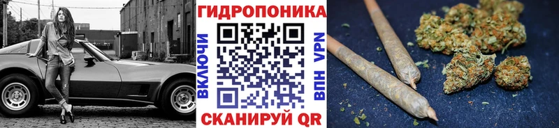 Конопля AK-47  цена наркотик  Нерехта 